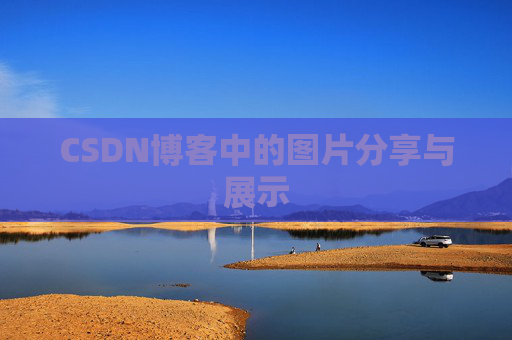 CSDN博客中的图片分享与展示